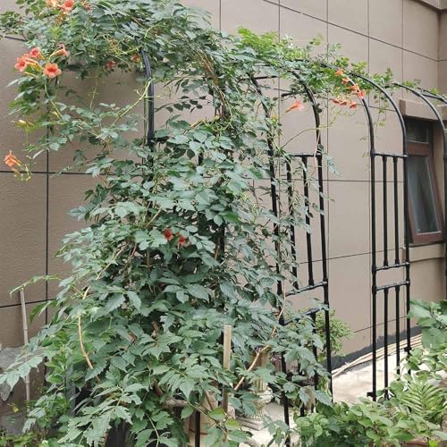 Arche de jardin en métal pour rosiers grimpants et vignes - Treillis demi-arc résistant aux intempéries - 240 cm de hauteur - Parfait pour clématites, glycines et jasmin - Noir (l 120 x H 240 cm)