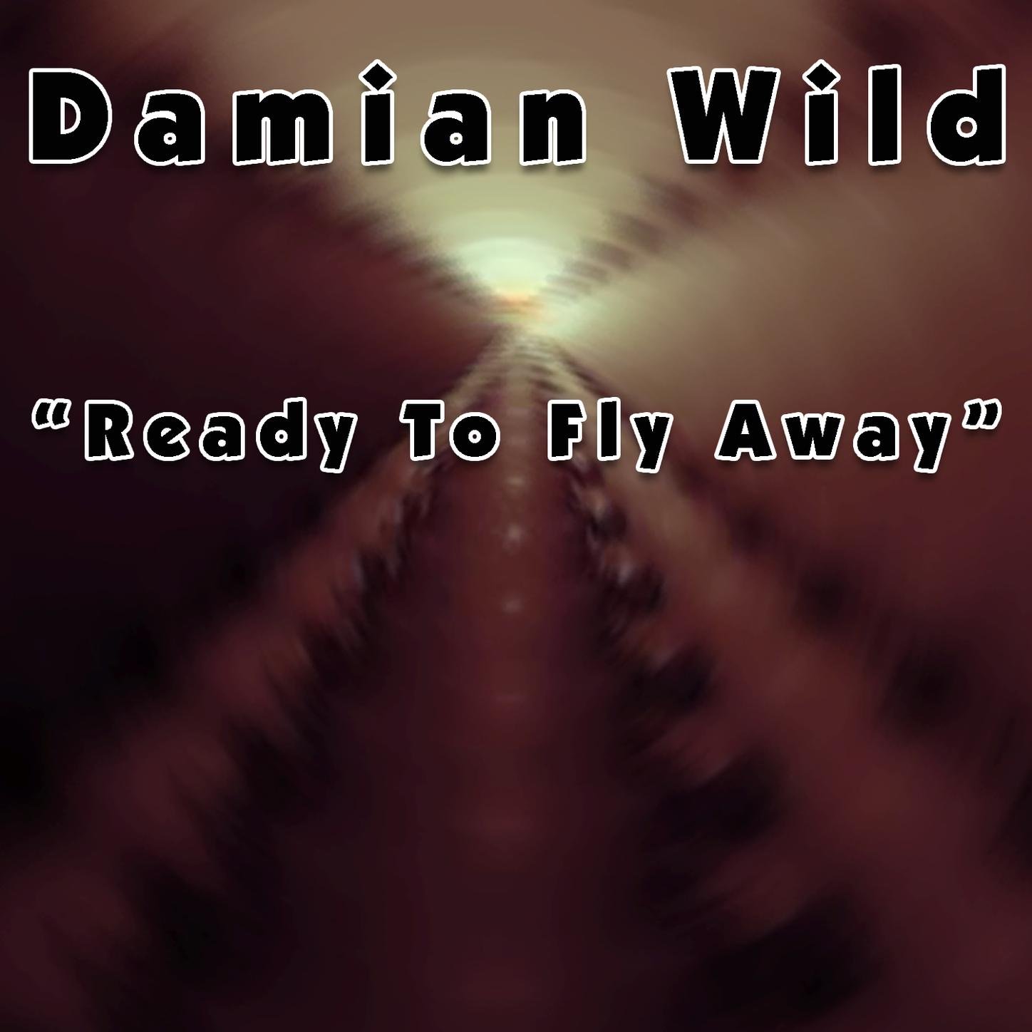Damian Wild