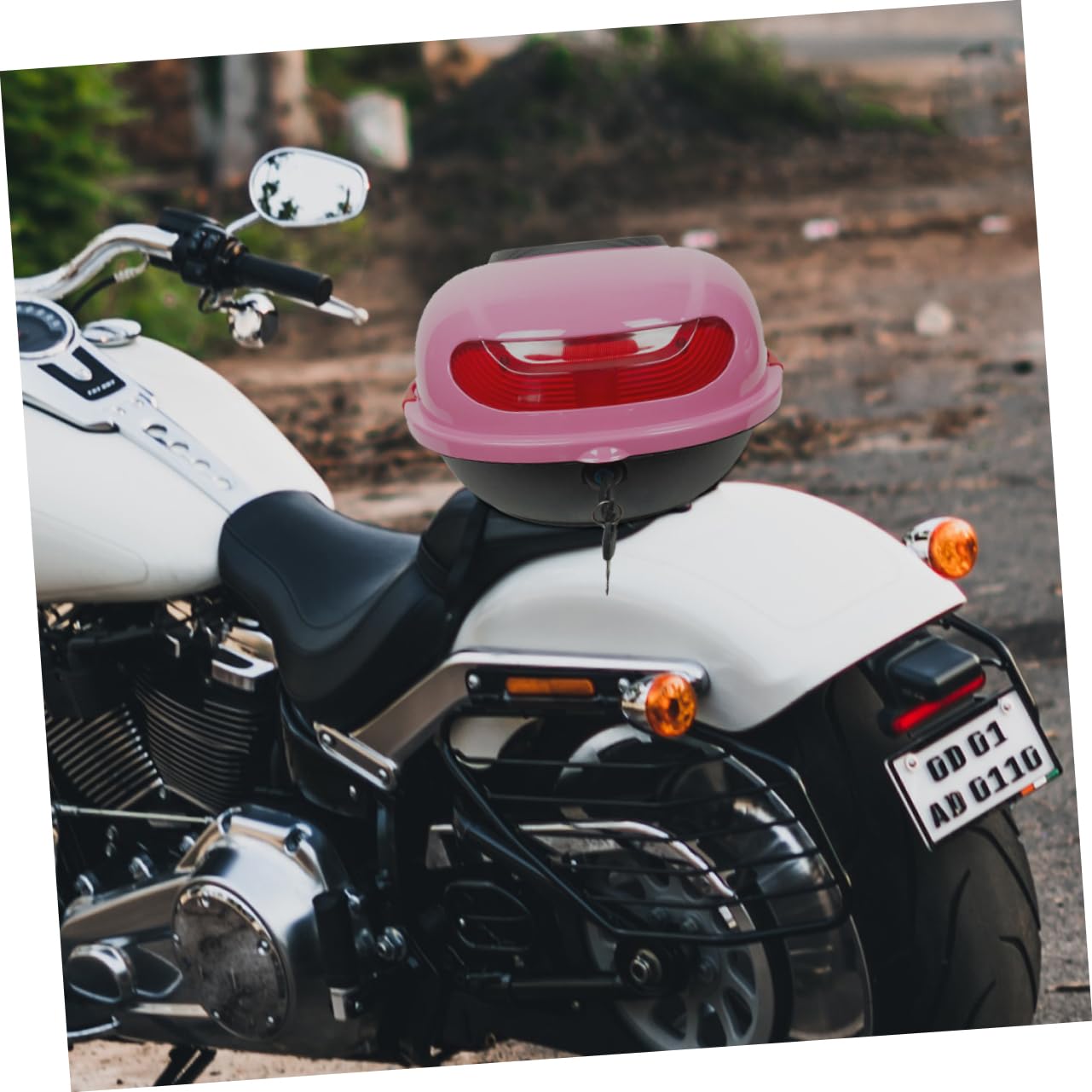 Motocicletta Top Box Rosa in Pp, Baule Posteriore per Viaggio