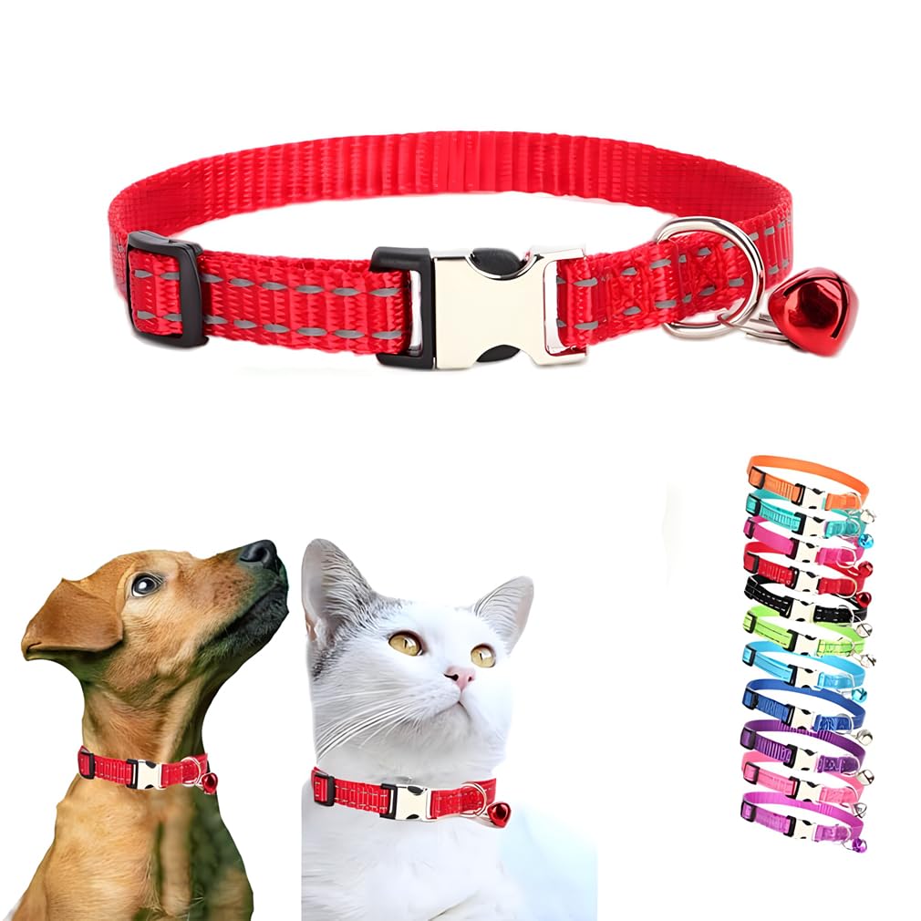 Collier rouge chaton XXS réfléchissant pour petit chiot femelle avec cloche