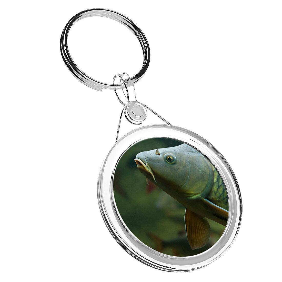 Destination Vinyl Keyrings Unisex Multi 1 X Common Carp Fishing Angling - Keyring Ir02 Mum Dad Birthday #15753