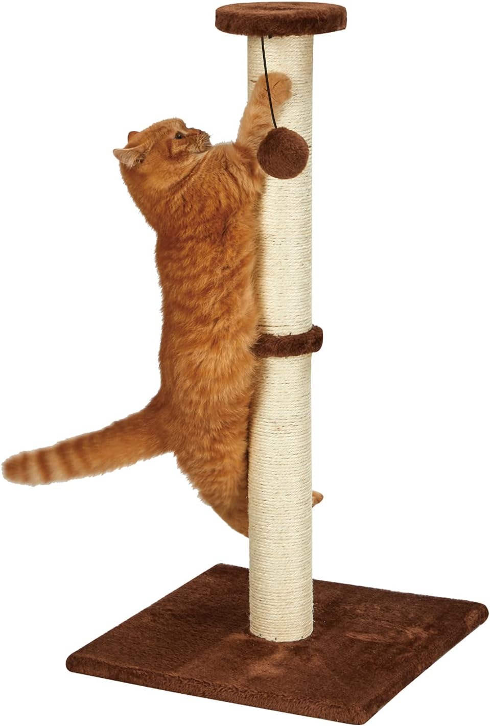 PEEKAB 32“Tall Cat Scratching Post Sisal Rope Scratch Posts with Soft Plush Platform Top and Interactive Ball Toys Vertical Scratcher for Indoor Cats Kitten Scratches Protector Furniture (Gray) : Pet Supplies