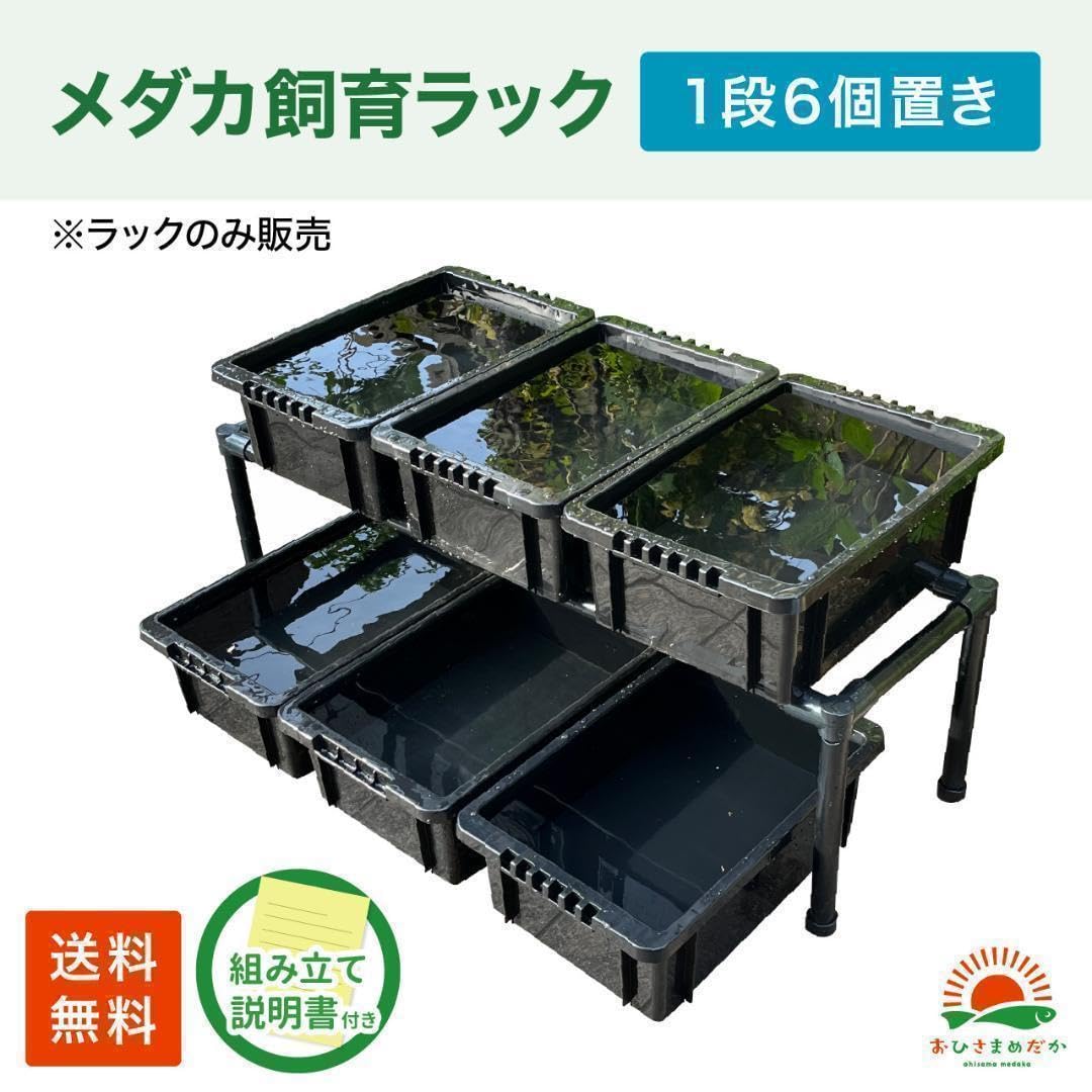 ★メダカ飼育ラック　黒1段6個置き★ めだか飼育棚 NVBOX ビオトープy Amazon.co.jp: メダカ飼育ラック 黒1段6個置き めだか飼育棚 NVBOX