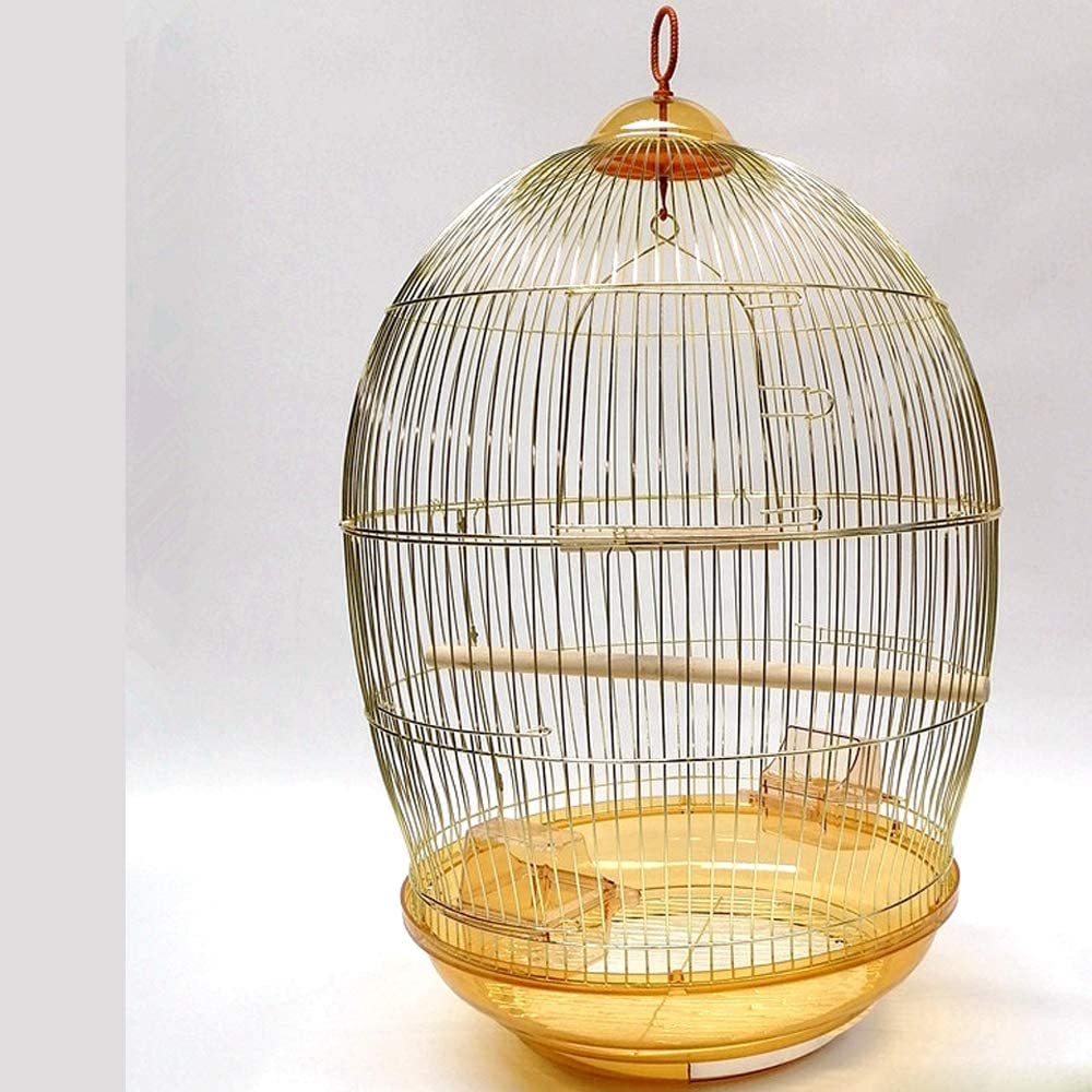 Gold Bird cage for Budgies,Finches,Love Birds,with Cuttlefish BoneHolder,Cuttlefish Bone,2 Plastic Cups,1 Swing -L-48.5 x W-48.5 x H-76cms (B09RX2CJF5) Amazon Price History, Amazon Price Tracker