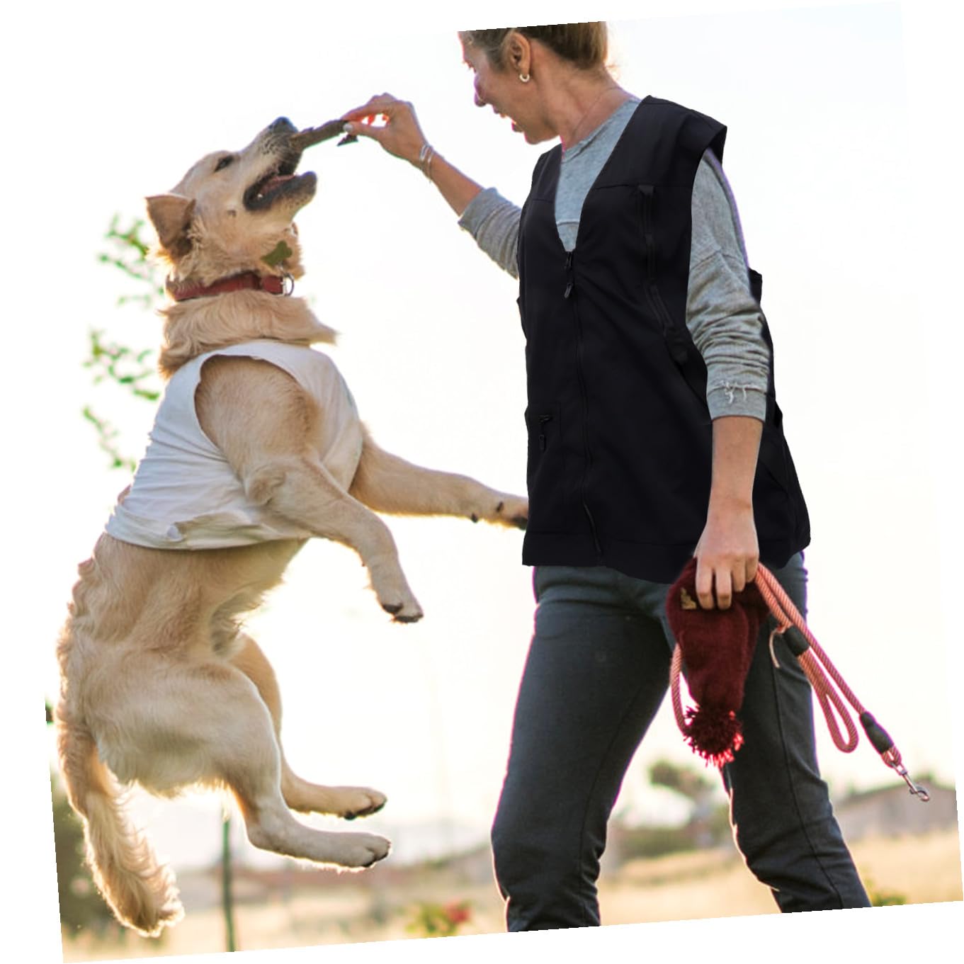 Gilet de Dresseur pour Chien Imperméable Noir en Polyester Mesh