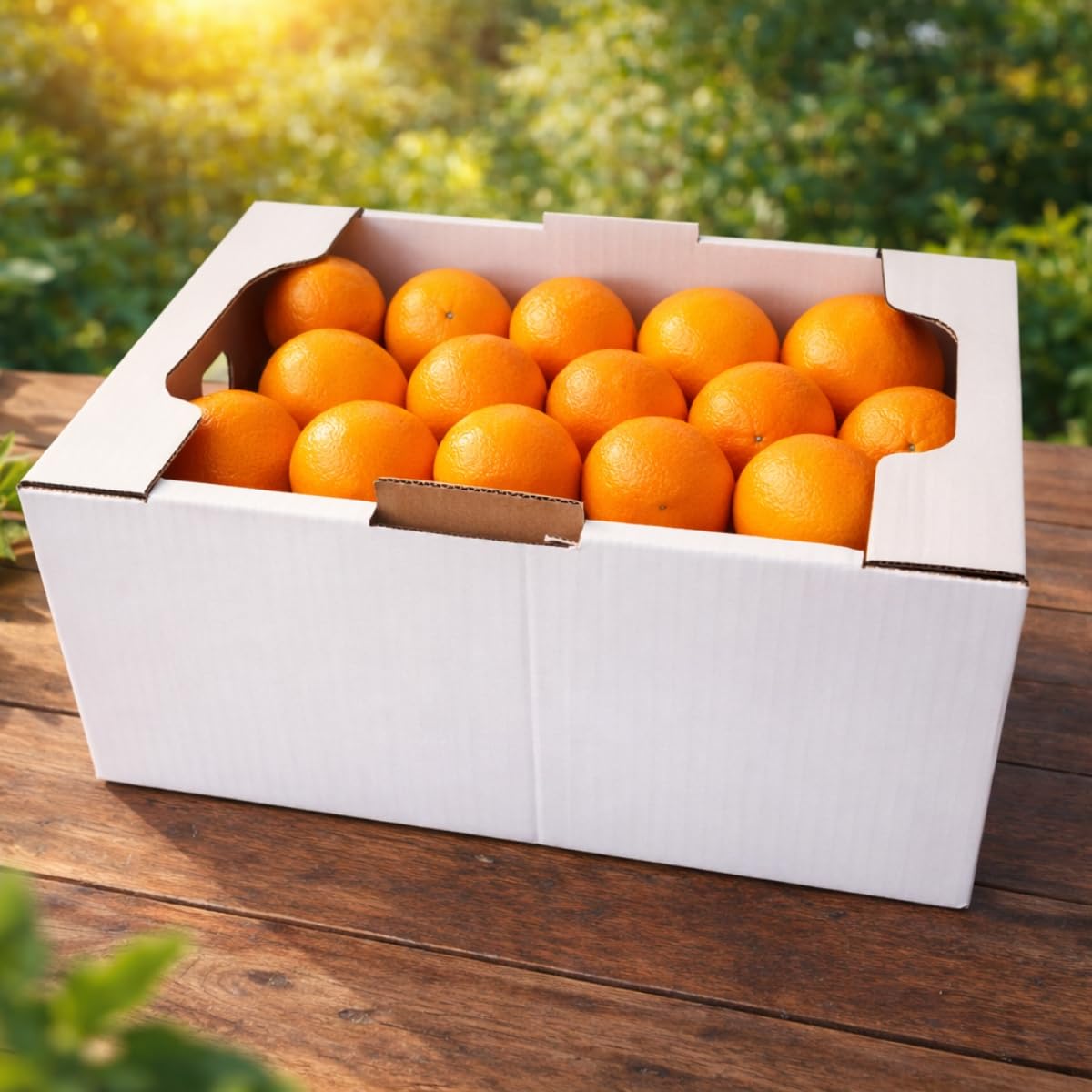 FRUCHTVERSAND24 Orangen, Saftorangen, Inhalt: 8kg, Ideal zum auspressen, süß saftig lecker, das Original, Qualität vom Fachmann