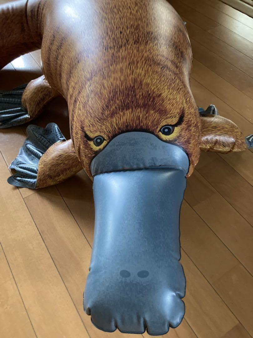 Amazon.co.jp: カモノハシのフロート オーストラリア お土産 : おもちゃ