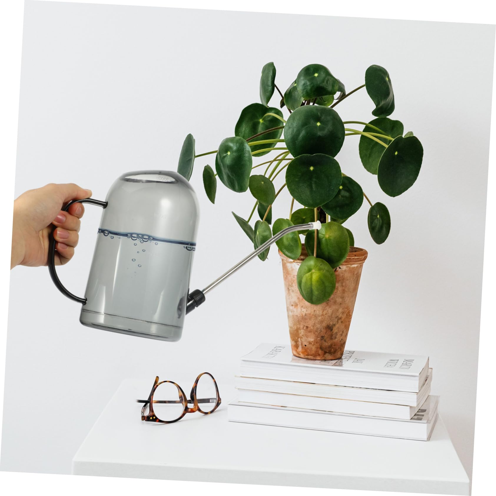 Annaffiatoio da Giardinaggio 2l Beccuccio lungo Abs e Acciaio Inox