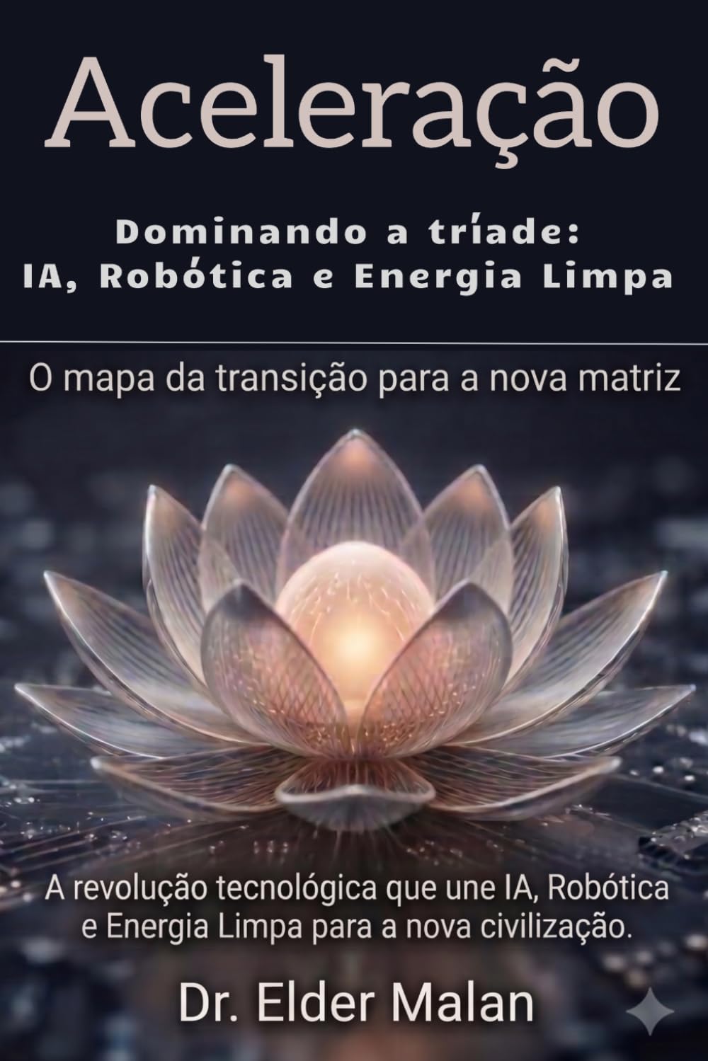 A Lógica da Aceleração: Lições Essenciais sobre o Tempo, Tecnologia e o Fim da Linearidade.