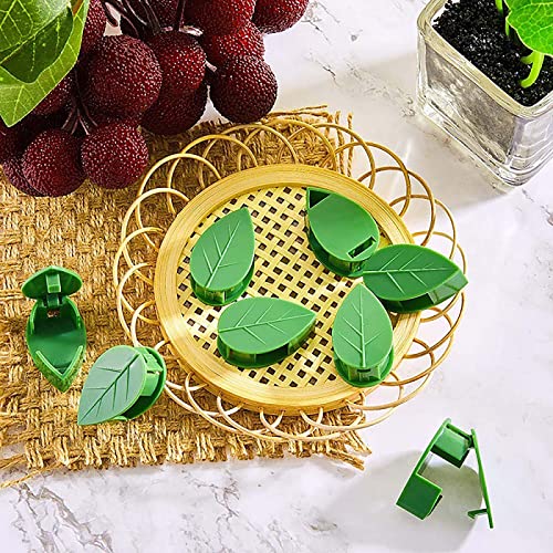 80Pcs Plant Clips For Climbing Plants Vine Wall Clips Traction Support Holder Fixing Green Leaf For Indoor Outdoor Garden Decorations #TOP27