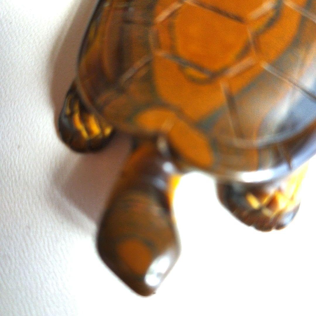 Amazon.co.jp: べっ甲の亀 : Toys & Games