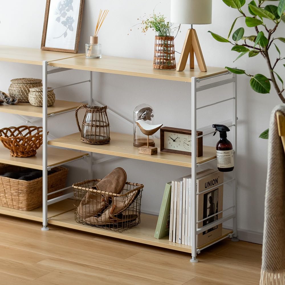 Amazon｜エア・リゾーム 棚 ラック リビング 収納 収納棚