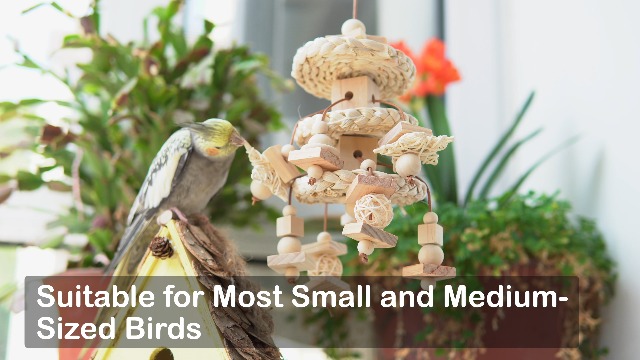 Natural Bird Toys for Quaker Parrot, Lovebird, Parakeet, Cockatiel & Conure – for Chewing, Shredding & Foraging, Corn Husk, Wood & Vine with Leather Cord for Small & Medium Birds - image 7