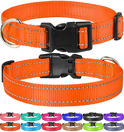 Stay Safe & Stylish with FunTags Reflective Nylon Dog Collar
