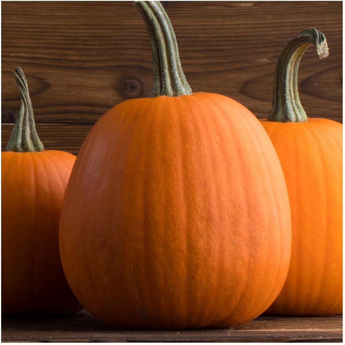 Everwilde Farms - 1 Lb Organic Jack O Lantern Pumpkin Seeds - Gold Vault Packet