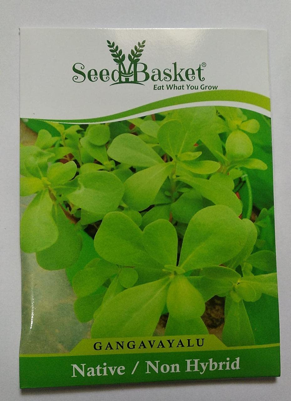 Seed Basket Native/Non-Gmo Green Leafy Vegetable Seeds For Home Gardening With More Than 70% Germination And Instruction Manual (Gangavalli/Purslane) - Image 2 thumbnail