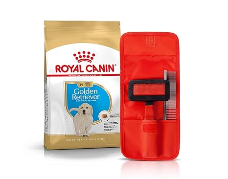 top retractable dog leashes