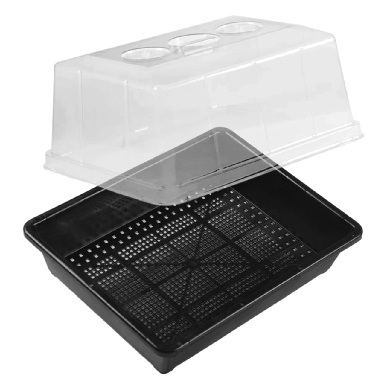 Plateau de Germination Modèle 5 1 Set en Plastique pour Semis et Plantes