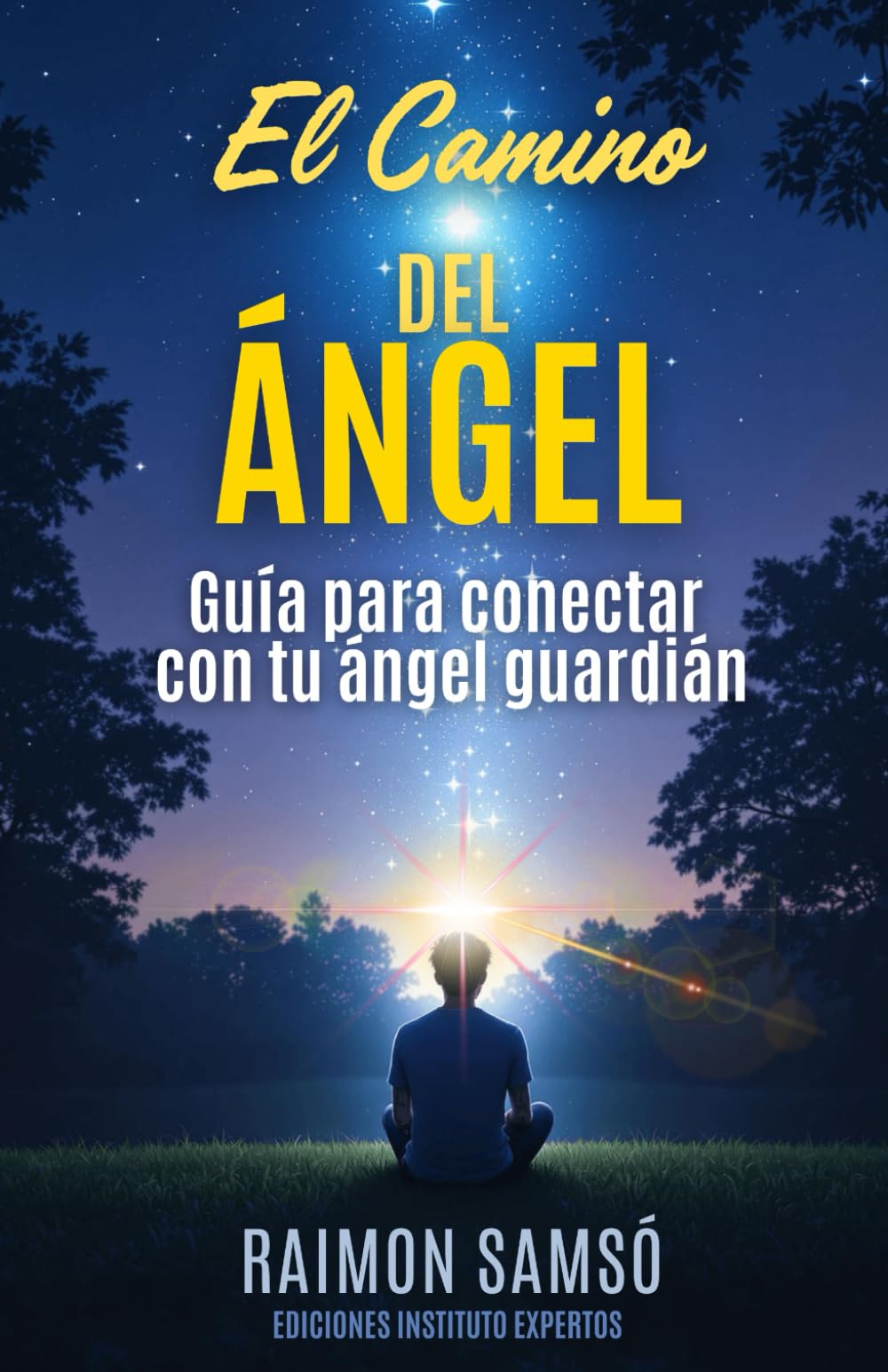 El Camino del Ángel: Guía para conectar con tu ángel guardián: 3 (Ángeles a tu alrededor)