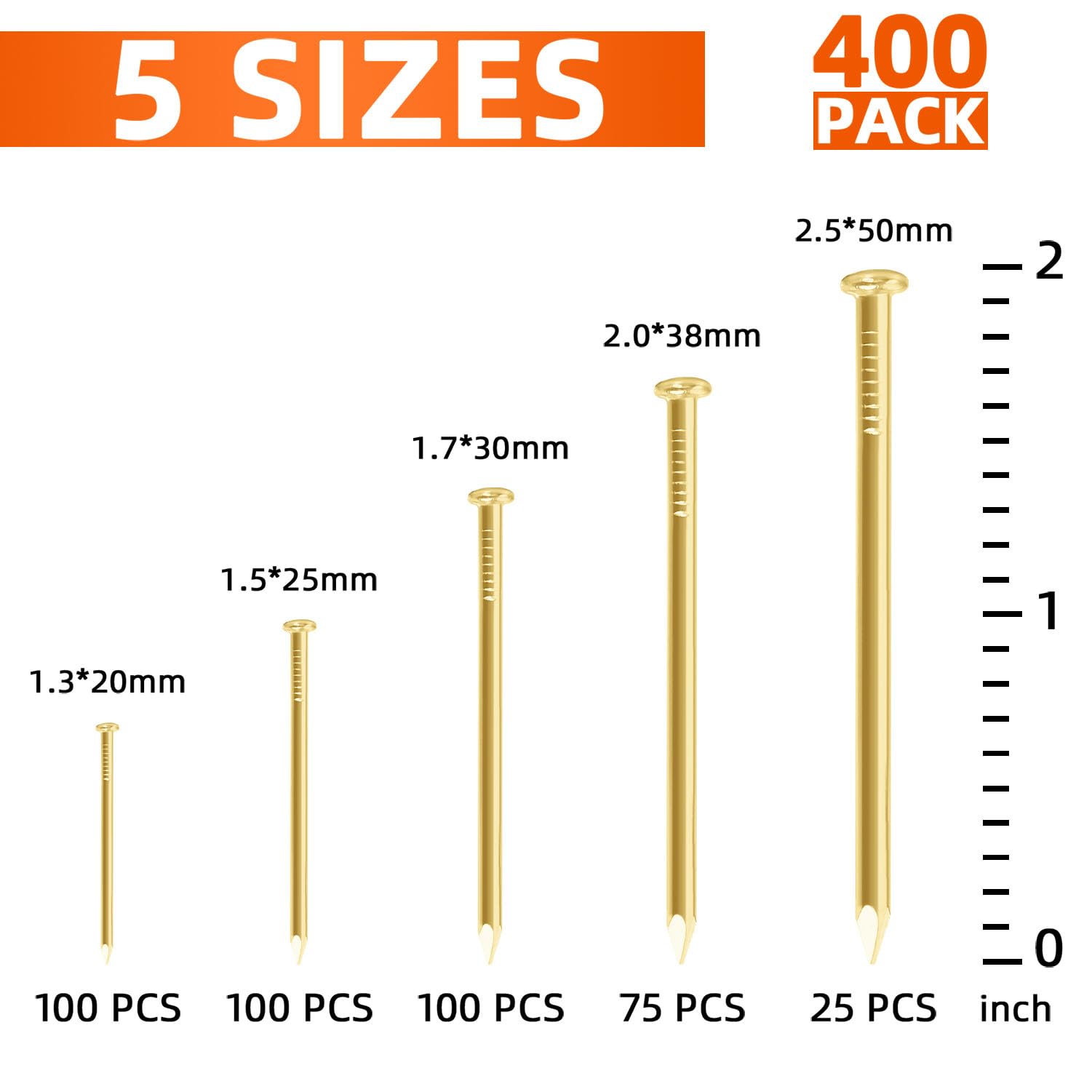 Snapklik.com : 5 Sizes Gold Hardware Nails Assortment Kit, Picture ...