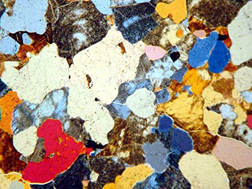 Amscope Pz200Ta Polarizing Trinocular Microscope, Wf10X And Wf16X Eyepieces, 40X-640X Magnification, Strain-Free Plan Achromatic Objectives, Polarizing And Brightfield Configurations, Halogen Illumination, Bertrand Lens, Abbe Condenser, Round Graduated Stage, 110V #TOP5