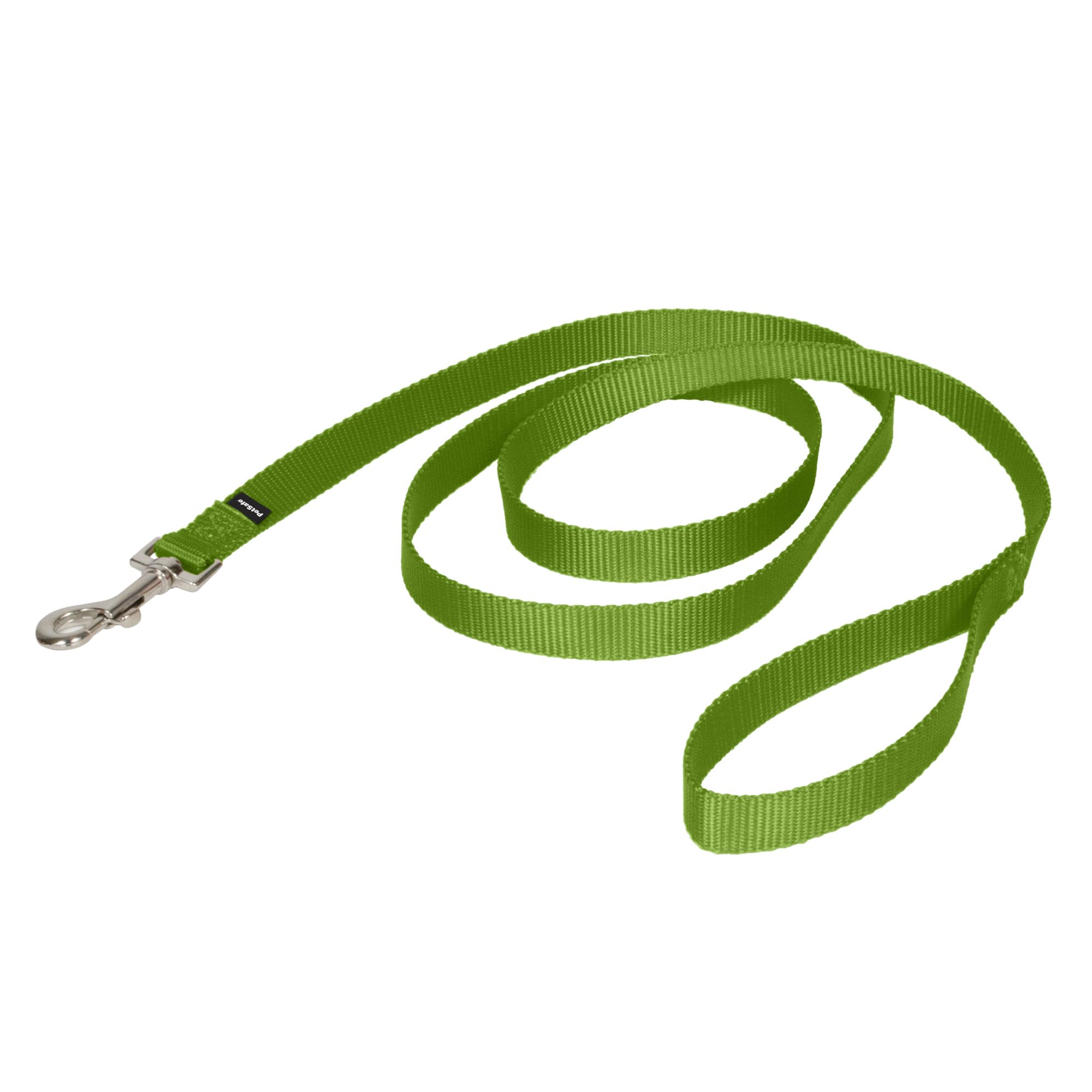 PetSafe Nylon Dog Leash - Strong, Durable, Traditional Style Leash with Easy to Use Bolt Snap - 3/4 in. x 6 ft., Apple Green