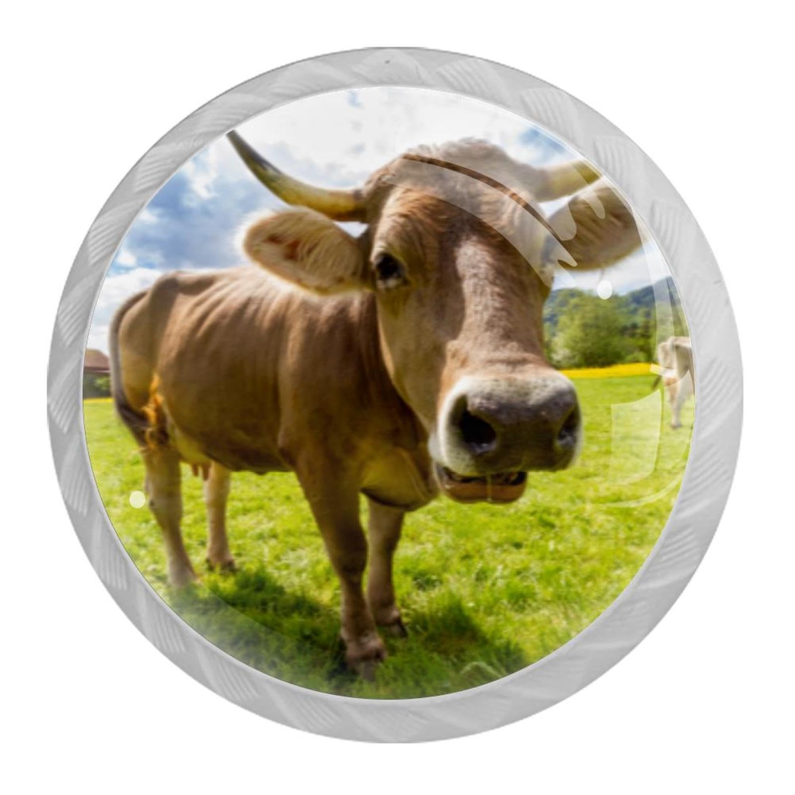 Tqmspg Cow