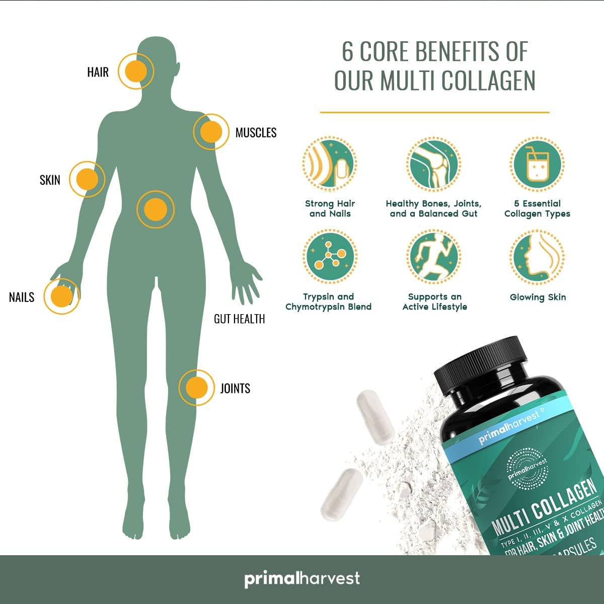 Primal Harvest Multivitamin & Collagen Supplements for Women and Men Multi Vitamin Capsules and Collagen Peptides Pills Bundle