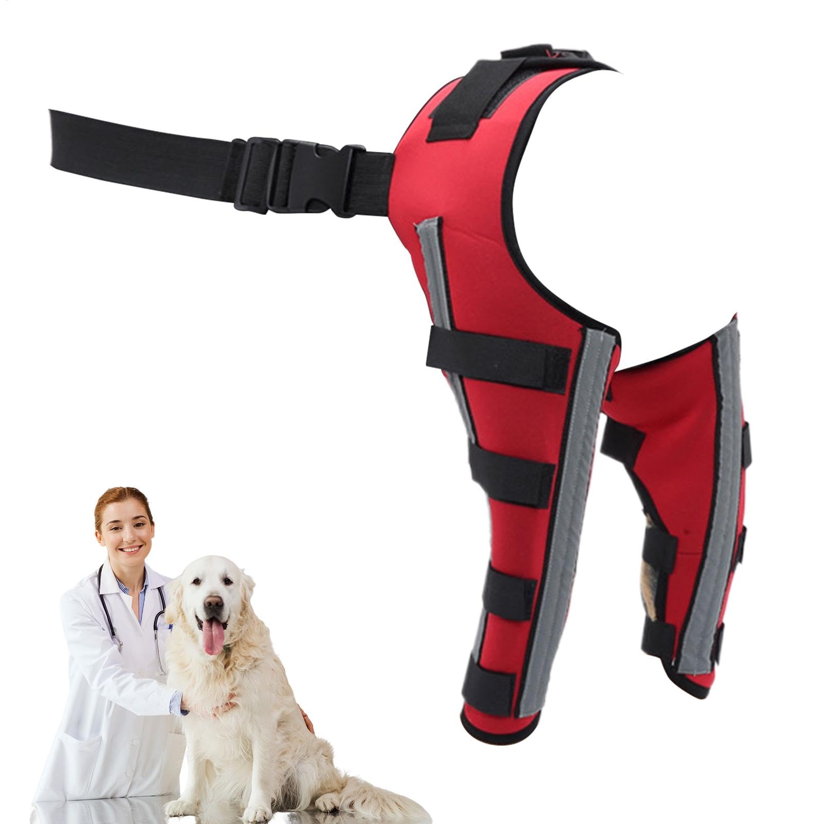 Attelle de genoux de chien pour corriger la posture et la marche