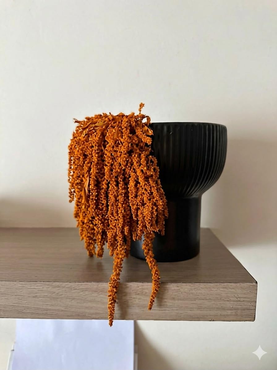 Versailles Preserved Orrange Amranthus | Vibrant Everlasting Dried Flowers Home Decor, Shower Hanging, Vase Arrangements, and Wedding Greenery - Long Lasting 3 Stems-image-3