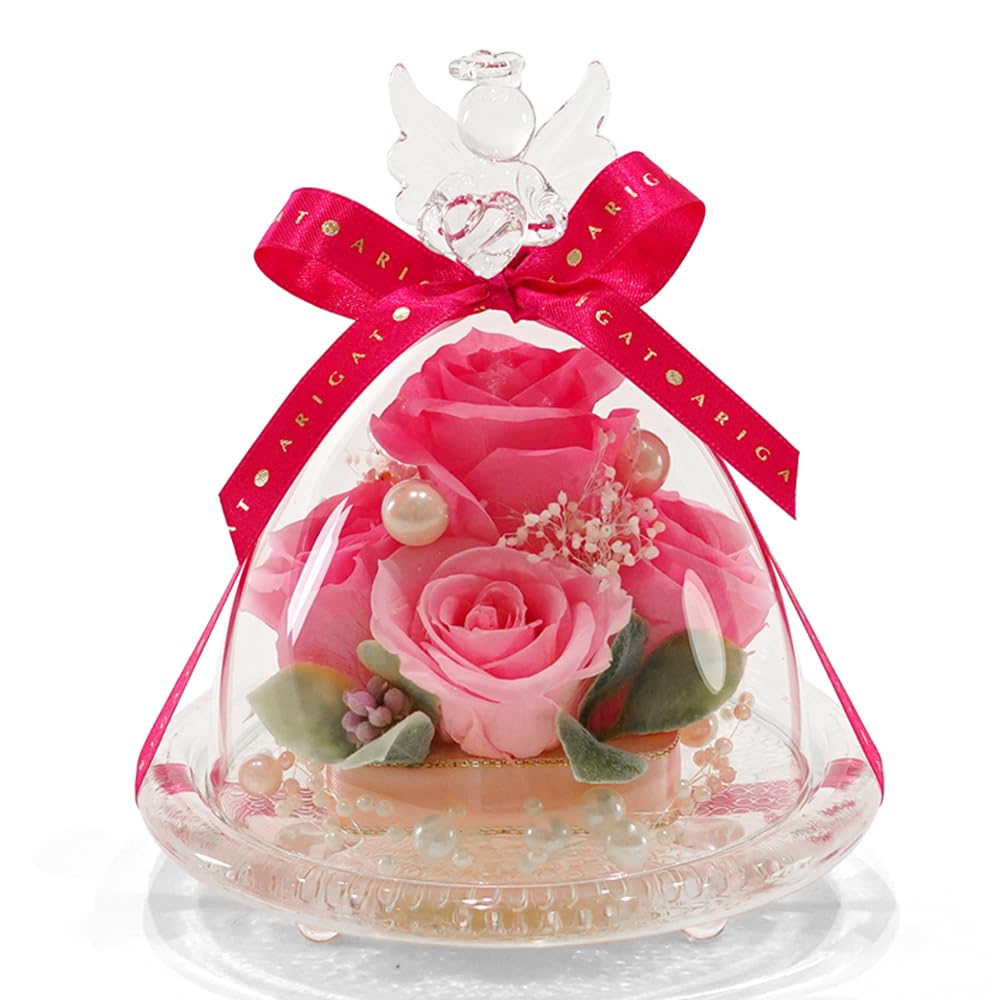 【在庫処分】IPFA プリザーブドフラワー ガラスドーム エンジェル プレミアム Amazon｜IPFA プリザーブドフラワー ガラスドーム エンジェル