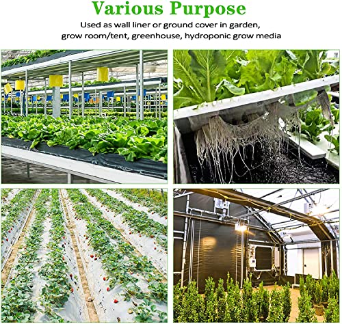 Ipower 10 X 10 Ft Black And White Panda Hydroponics Poly 5.5 Mil Silver Reflective Mylar-Film, Waterproof Plastic, Garden Greenhouse, 10 X 10Ft, Covering Foil Sheets, Diy Grow Rooms #TOP4