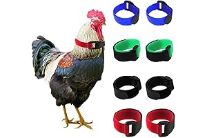 8 Pack Chicken Anti-Pecking Collars