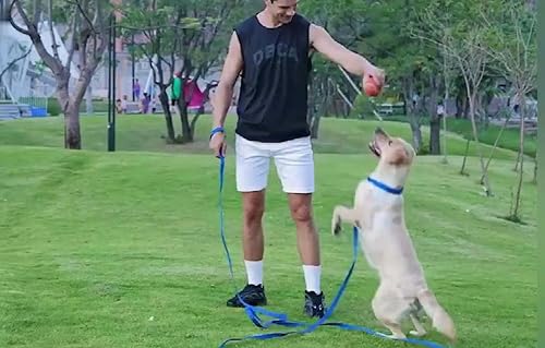 Miniatura 5 de AMAGOOD Correa larga para perro para entrenamiento de perros de 15, 20, 30, 50 y 100 pies de largo, para entrenamiento de perros medianos y