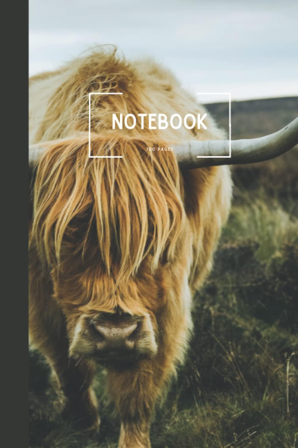 Golden Yak Composition Notebook (Softback, 6" x 9"): Blank Lined Journal for Nature Lovers, Nature Enthusiasts, and Writers, 100pgs