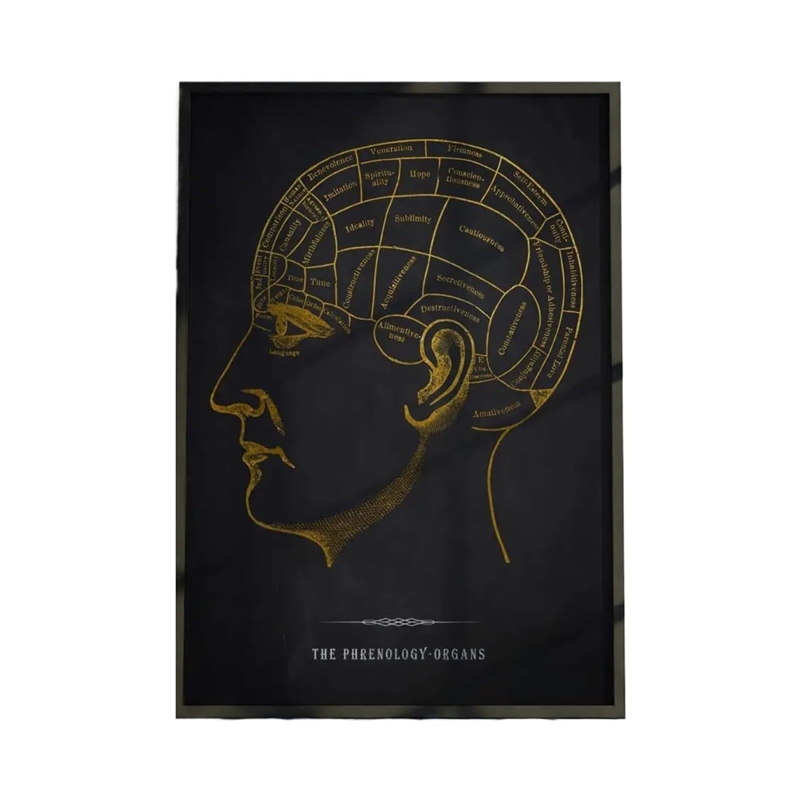 1 Szt. Wykres Anatomii Ludzkiego Ciała Plakat Wodoodporna Dekoracja Ścienna Samoprzylepna Do Każdej Przestrzeni Idealny Prezent