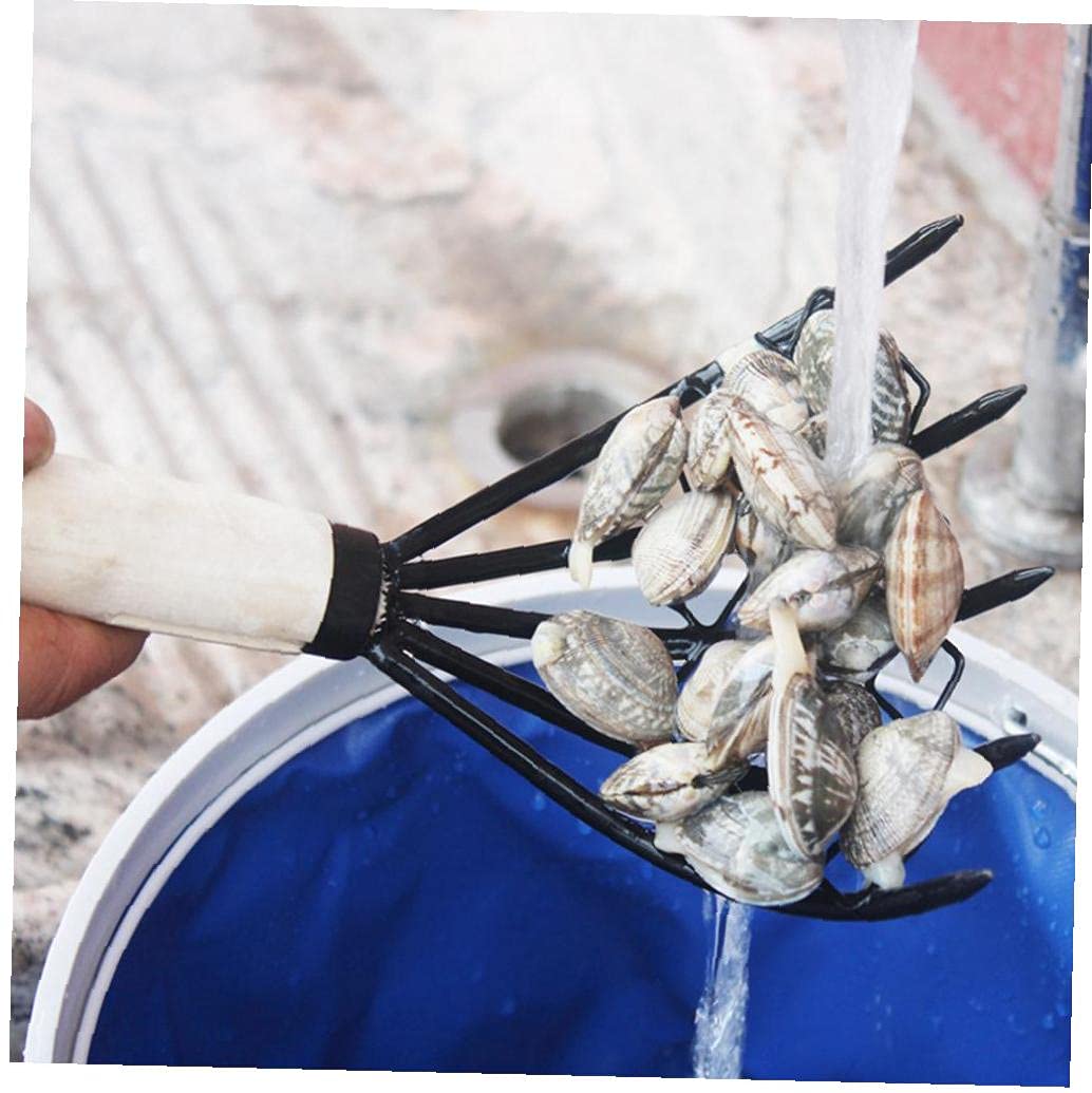 GIWFBQTR Râteau à 5 Griffes En Acier – Outil De Scarification Et Ramassage Fruits De Mer, Palourdes & Coquillages, Noir Et Blanc
