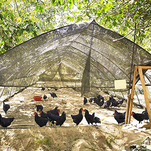 Malifea 40% Sun-Block Shade Cloth Mesh Shade Cloth Uv Resistant Taped Edge With Grommets For Garden Patio&Plants, Black 6X12Ft #TOP7