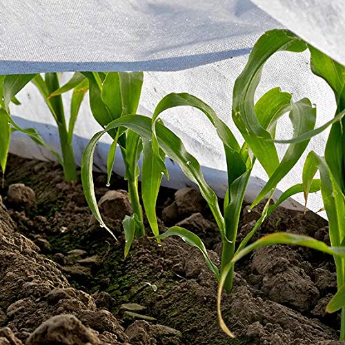 GARDENIX® 16 m² Vellón de protección contra Congelación para Primavera, Alta estabilización UV, Permeable al Agua, Cubierta de Primavera para Plantas (1,6m x 10m)