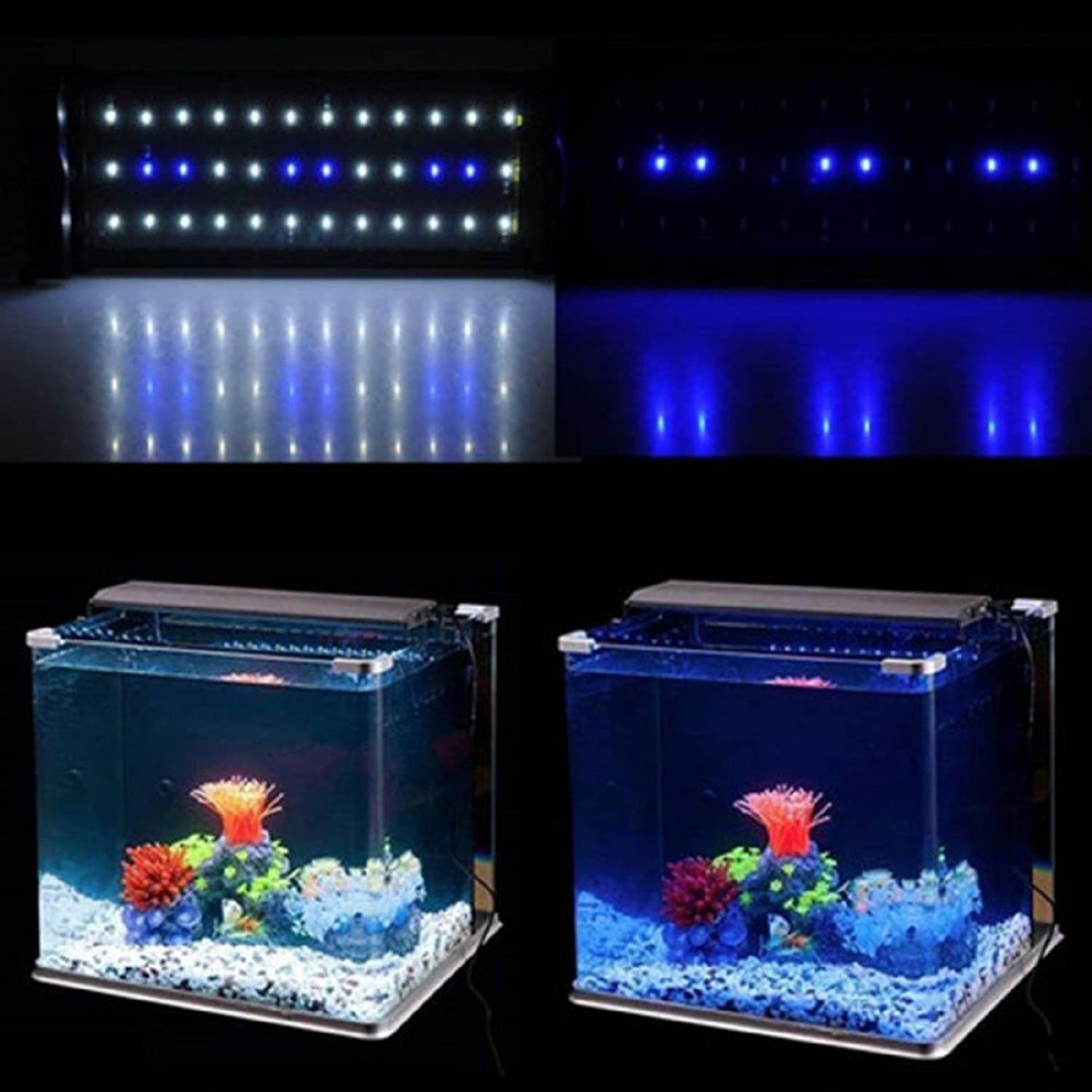水槽 Amazon | 水槽 金魚 水槽 メダカ 水槽 金魚鉢 金魚 亀 水槽 小型