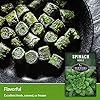 Giant Noble Spinach Seeds for Planting – Heirloom Non-GMO Vegetable – Drought Tolerant, Bolt Resistant - Extra Large Spinach for Indoors, Outdoor Growing, Hydroponics - Survival Garden Seeds (1 Pack) #3