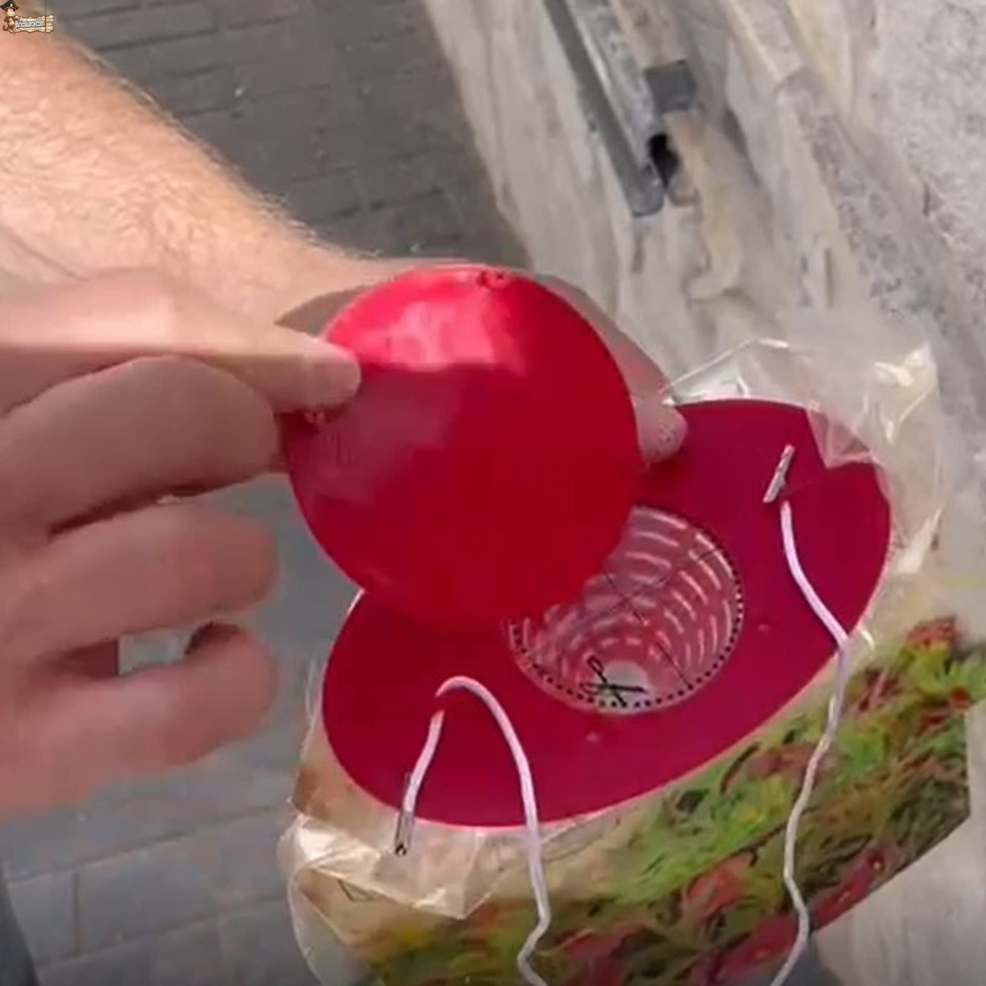 Bricoloco Trampa para Moscas con Cebo Potente atrayente sin Veneno. Anti Moscas Súper Efectivo atrapa hasta 50.000 Moscas. Fácil Uso. (6)