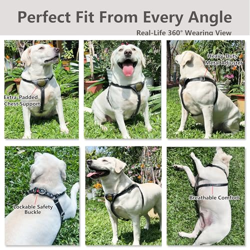 Image of Leather Dog Harness No Pull - Adjustable Genuine Leather Harness with Padded Chest, Metal Buckle, Black, Medium Dogs