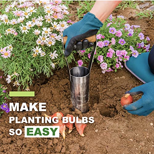Dewayna Bulb Planter Tool, 6 Inches Depth Mark Hand Bulb Planter, Non-Bending Stainless Steel Bulb Planter Digger, Garden Bulb Transplanter With Comfortable Grip Wooden Handle For Tulip And Daffodils #TOP6