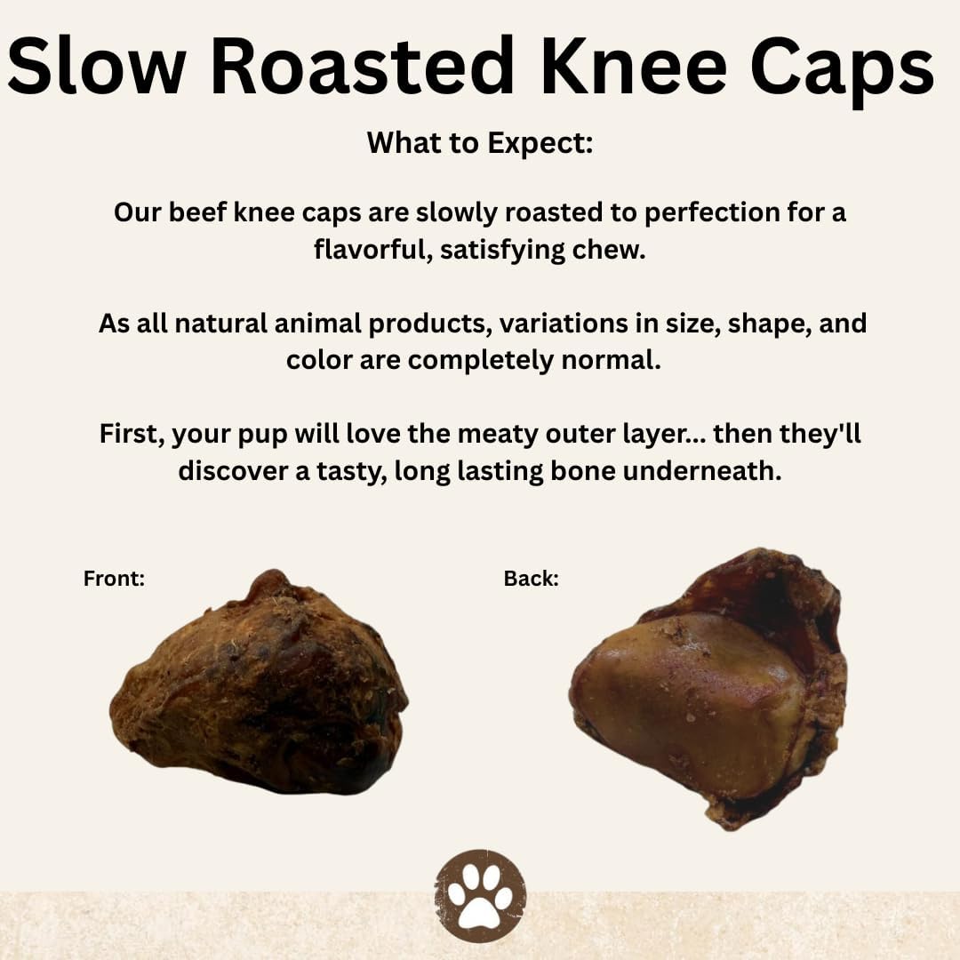 Top Dog Chews – Knee Caps, 20 Count, Dog Beef Chew Bones, Long Lasting Treats for Aggressive Chewers, Perfect for Large Medium, or Small Dogs, Made in USA