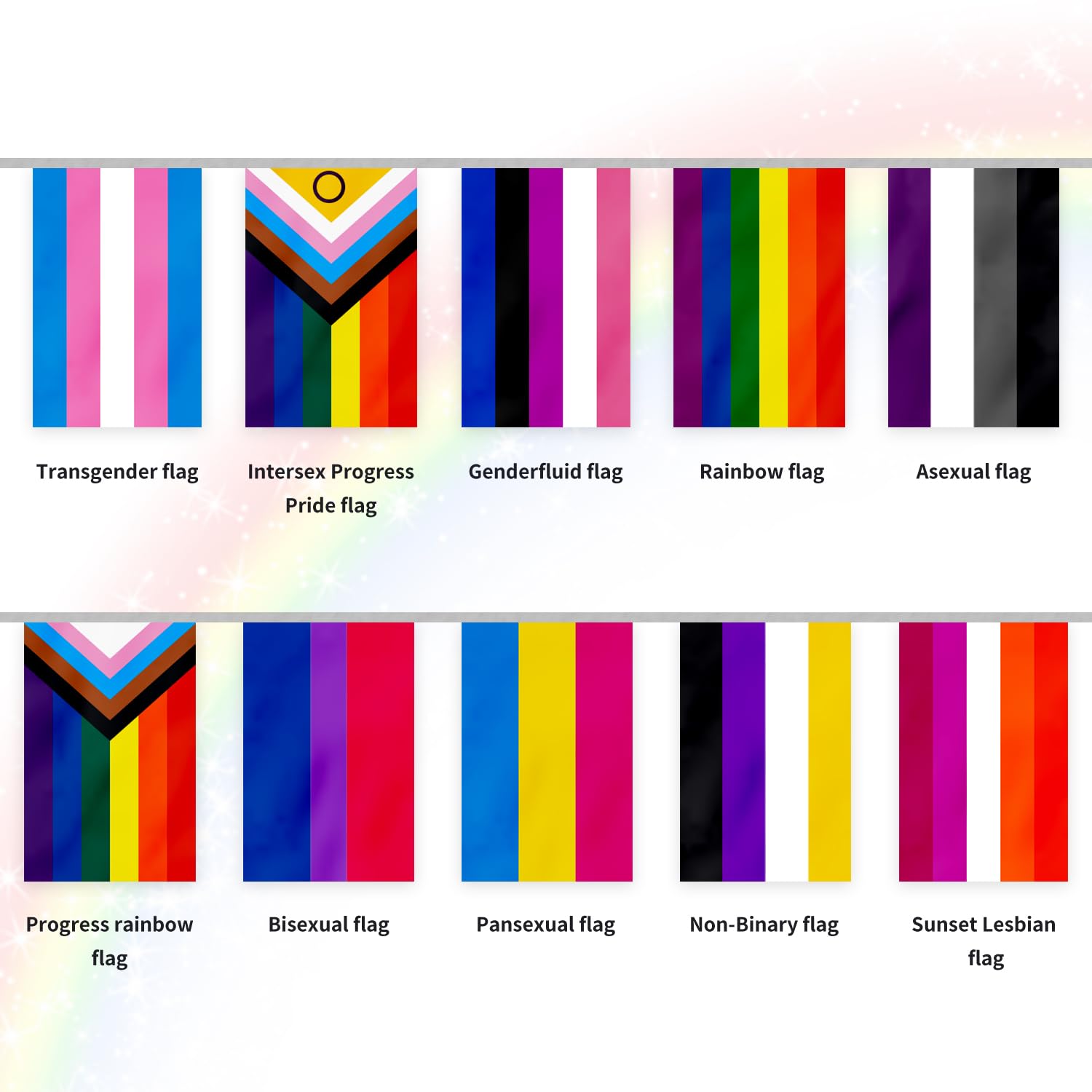 Gay Pride Flags All Pride Rainbow Gay Flags 10 Meter/32 Feet Pride Bunting Banner with 30 Pennant Flags Rectangle for Party Parades Carnivals Festival Pride Month Decorations and Celebrations - Image 2