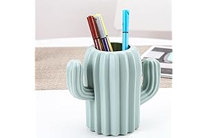 Striking Cactus Pen Holder: Adorn Your Workspace with Quirky Chic