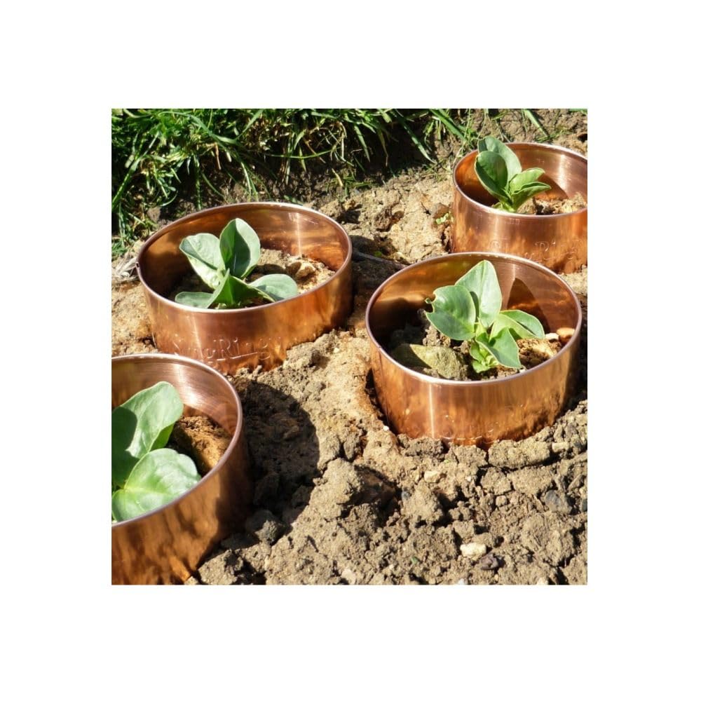 Gardening Naturally Copper Slug Rings Pest Control Reusable 17cm and 10cm (Large Pack of 6)