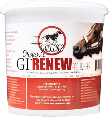 Pennwoods GI Renew Digestive Horse Supplement Powder, Organic, 2 lb | Probiotic Prebiotic Digestive Enzymes, Immune Appetite Stimulant, Organic Toxin Binder, Beta Glucans For Gut Health Stamina