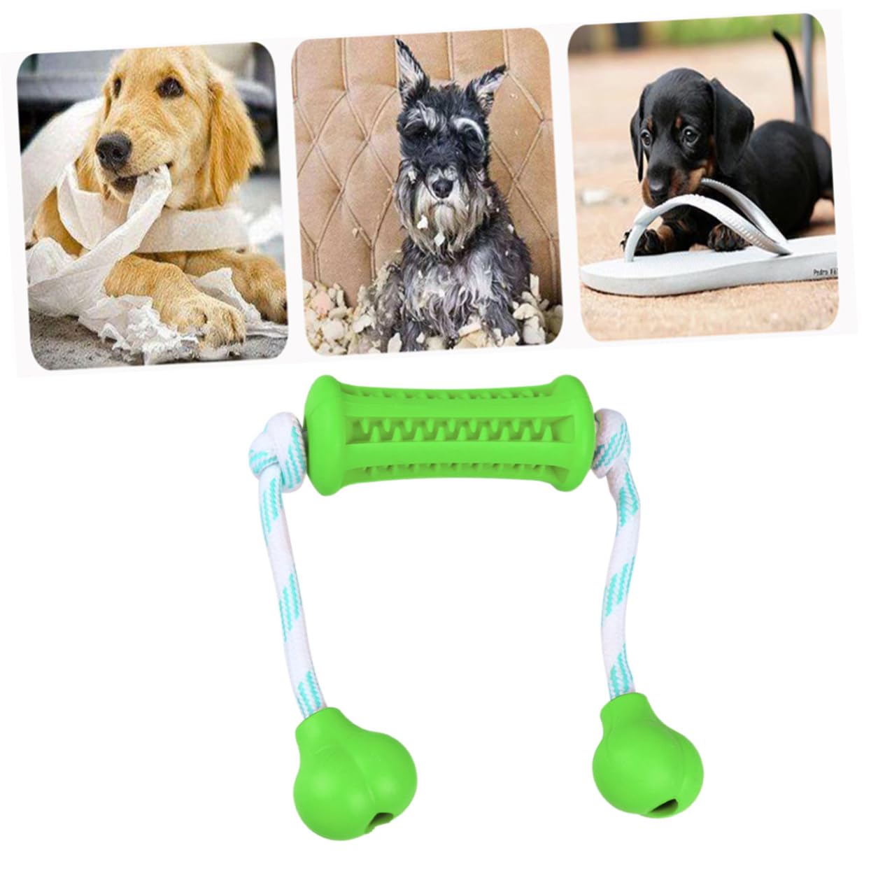 Kisangel 3piezas Juguete para De Cuidado Cepillo De Dientes para Juguete Masticable para Entrenamiento y Limpieza De Dientes Verde